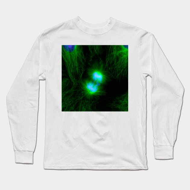 Cell division, fluorescent micrograph (C010/3482) Long Sleeve T-Shirt by SciencePhoto